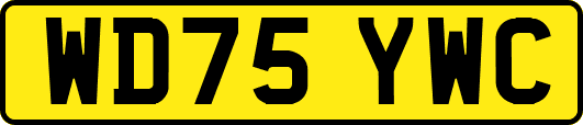 WD75YWC
