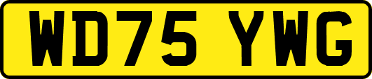 WD75YWG