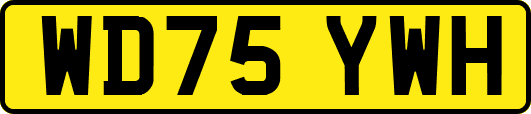 WD75YWH