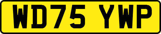 WD75YWP