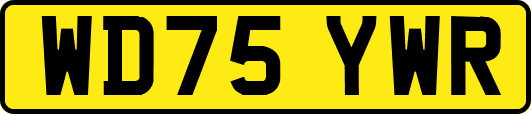 WD75YWR