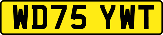 WD75YWT