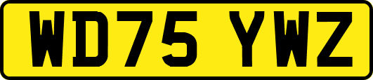 WD75YWZ