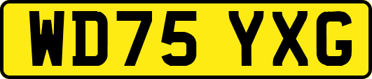 WD75YXG