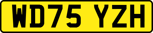 WD75YZH