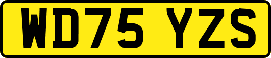 WD75YZS
