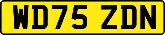 WD75ZDN