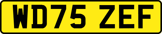 WD75ZEF