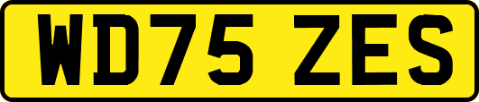 WD75ZES