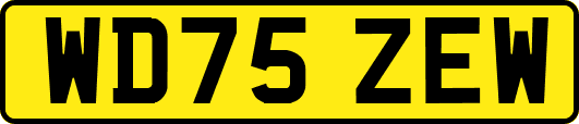 WD75ZEW