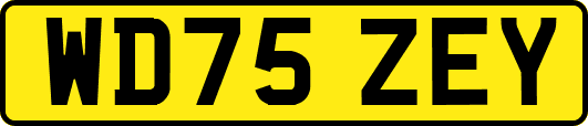 WD75ZEY