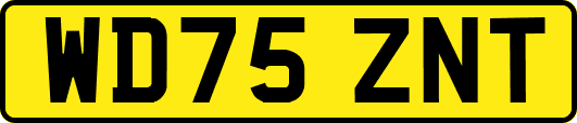 WD75ZNT