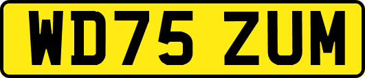 WD75ZUM