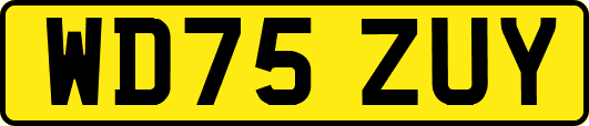 WD75ZUY