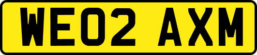 WE02AXM