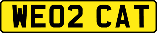 WE02CAT
