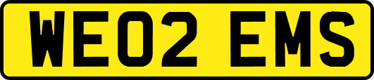 WE02EMS