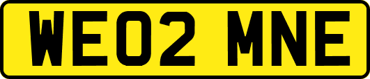 WE02MNE