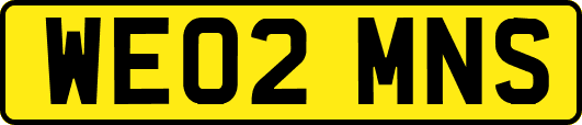 WE02MNS