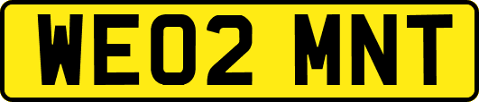 WE02MNT