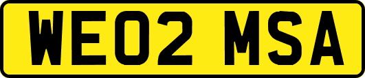 WE02MSA