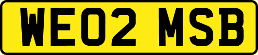 WE02MSB