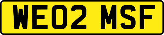 WE02MSF