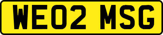WE02MSG