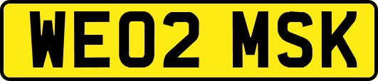 WE02MSK