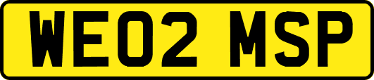 WE02MSP