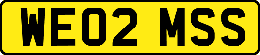 WE02MSS