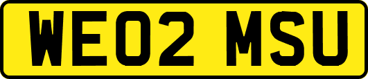 WE02MSU