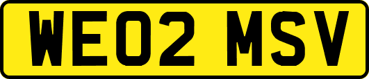 WE02MSV