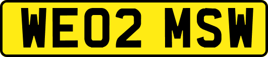 WE02MSW