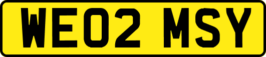 WE02MSY