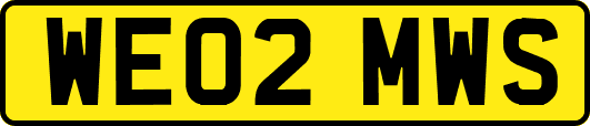 WE02MWS