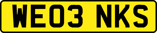 WE03NKS