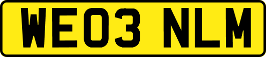 WE03NLM