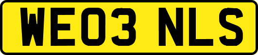 WE03NLS