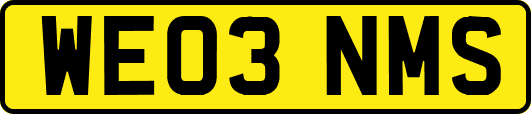 WE03NMS