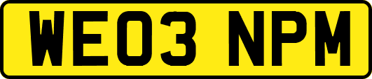 WE03NPM