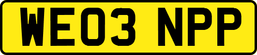 WE03NPP