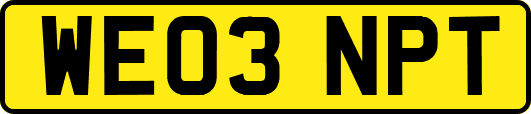 WE03NPT
