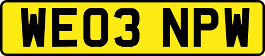 WE03NPW