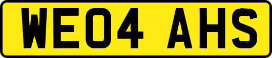 WE04AHS