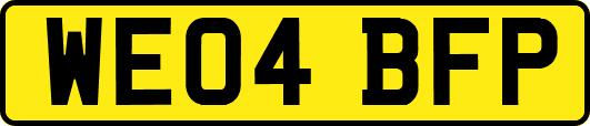 WE04BFP
