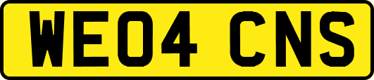 WE04CNS