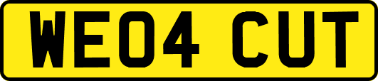 WE04CUT