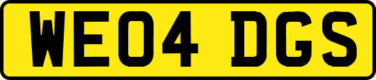 WE04DGS