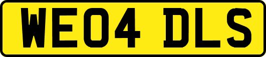 WE04DLS